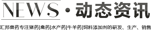 動(dòng)態(tài)資訊